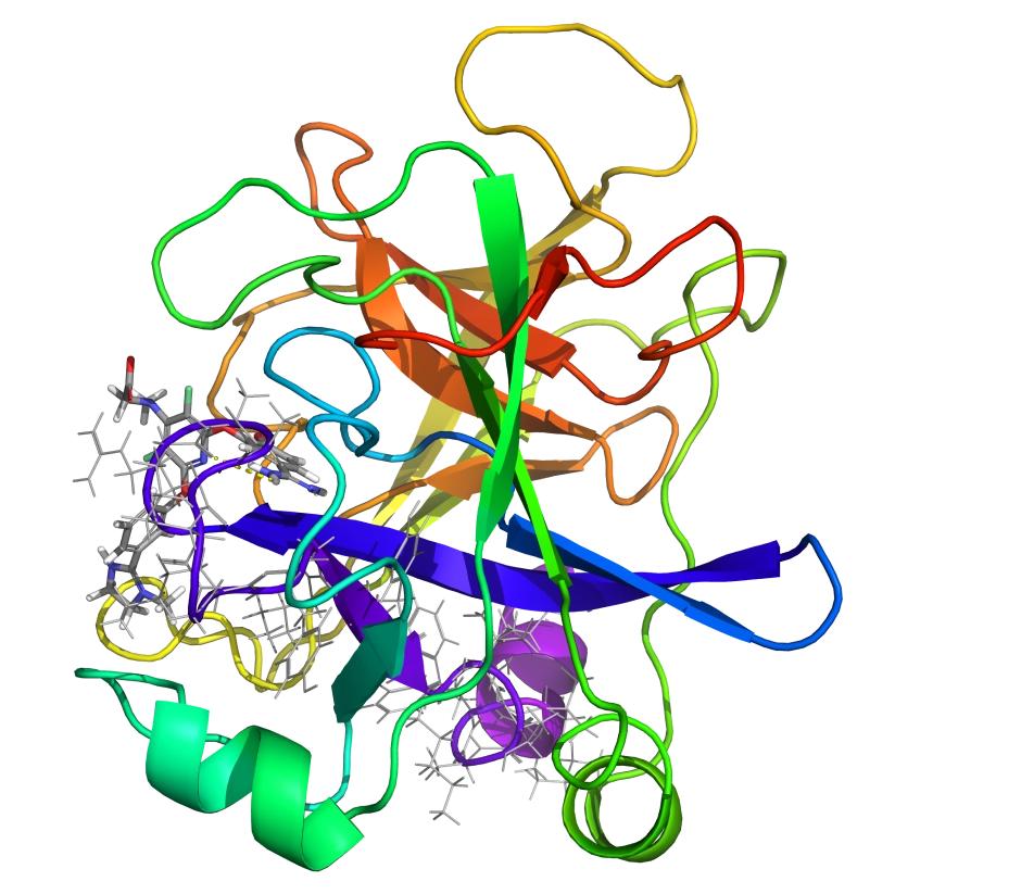 Small Molecule Drug Discovery